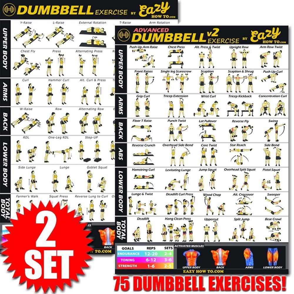 Dumbbell Exercise Workout Banner Poster Complete Set BIG 28 x 20" Chart Home Gym