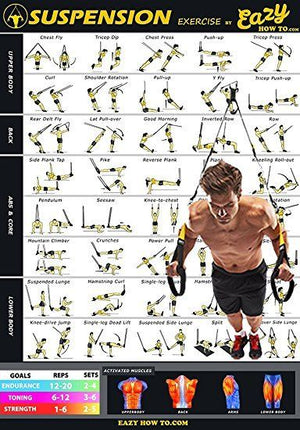 Eazy How To Suspension Exercise Workout Poster BIG 20x28 Endurance Tone Strength