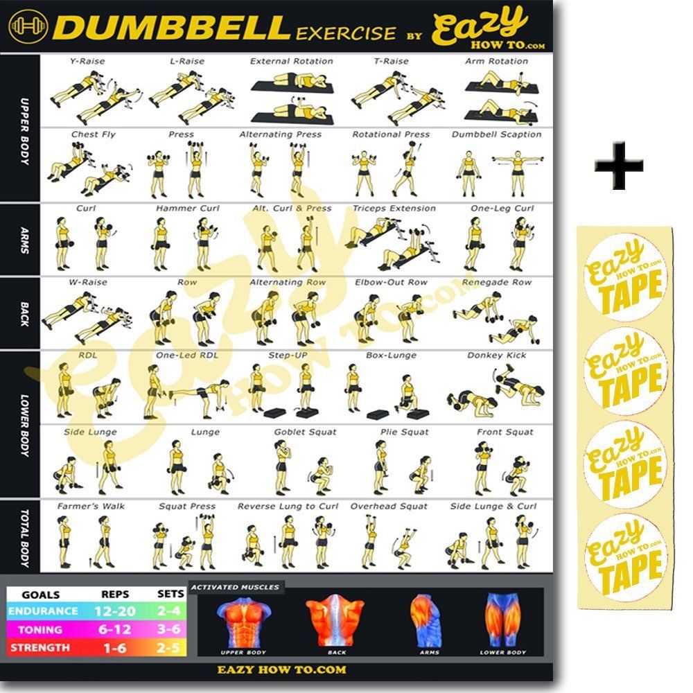 Original Dumbbell Set Exercise Workout Banner Poster BIG 28 x 20" Chart Home Gym