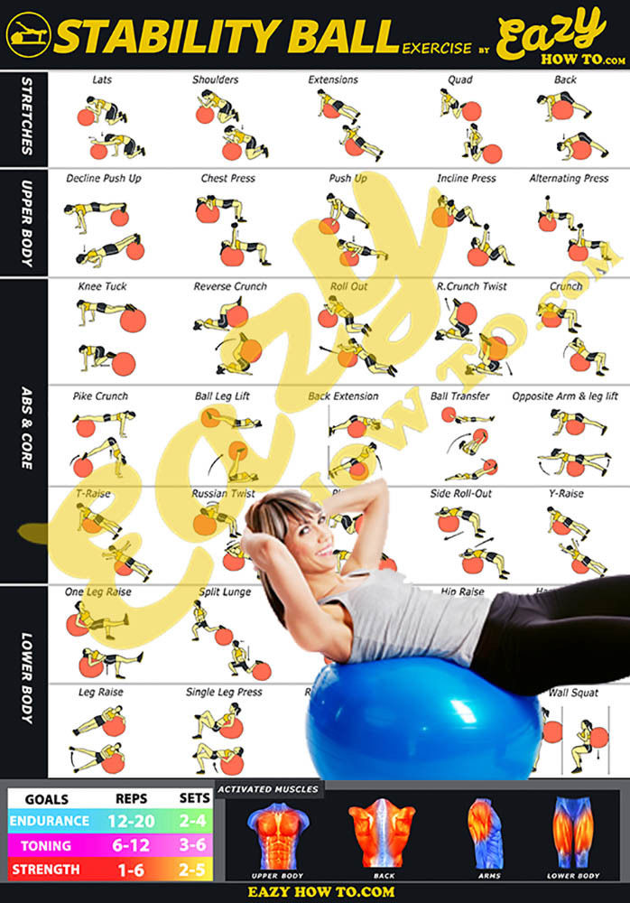 Eazy How To Stability Ball Exercise Workout Poster BIG 20x28  Tone Strength End.