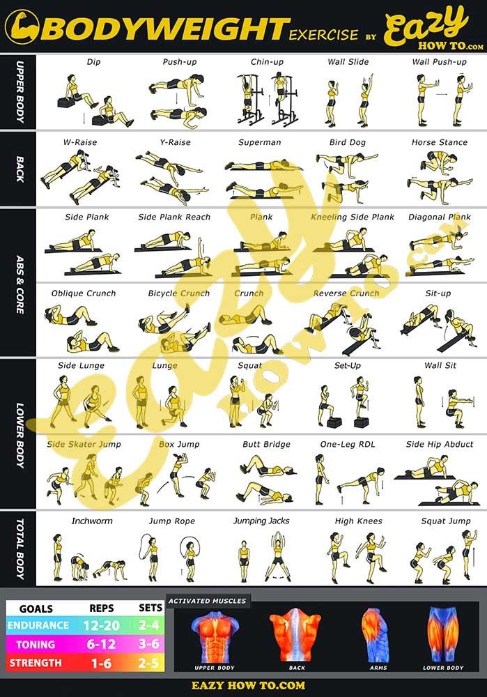 Eazy How To Bodyweight Exercise Workout Poster BIG 20x28 Endurance Tone Strength
