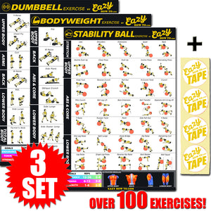 Exercise Workout Banner Poster 3 Set BIG 28 x 20" Chart Home Gym